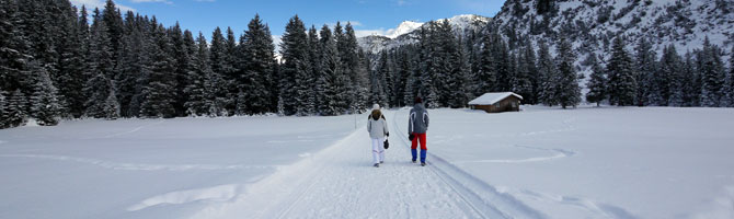 winter walking